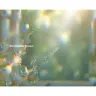「窓際の夢」