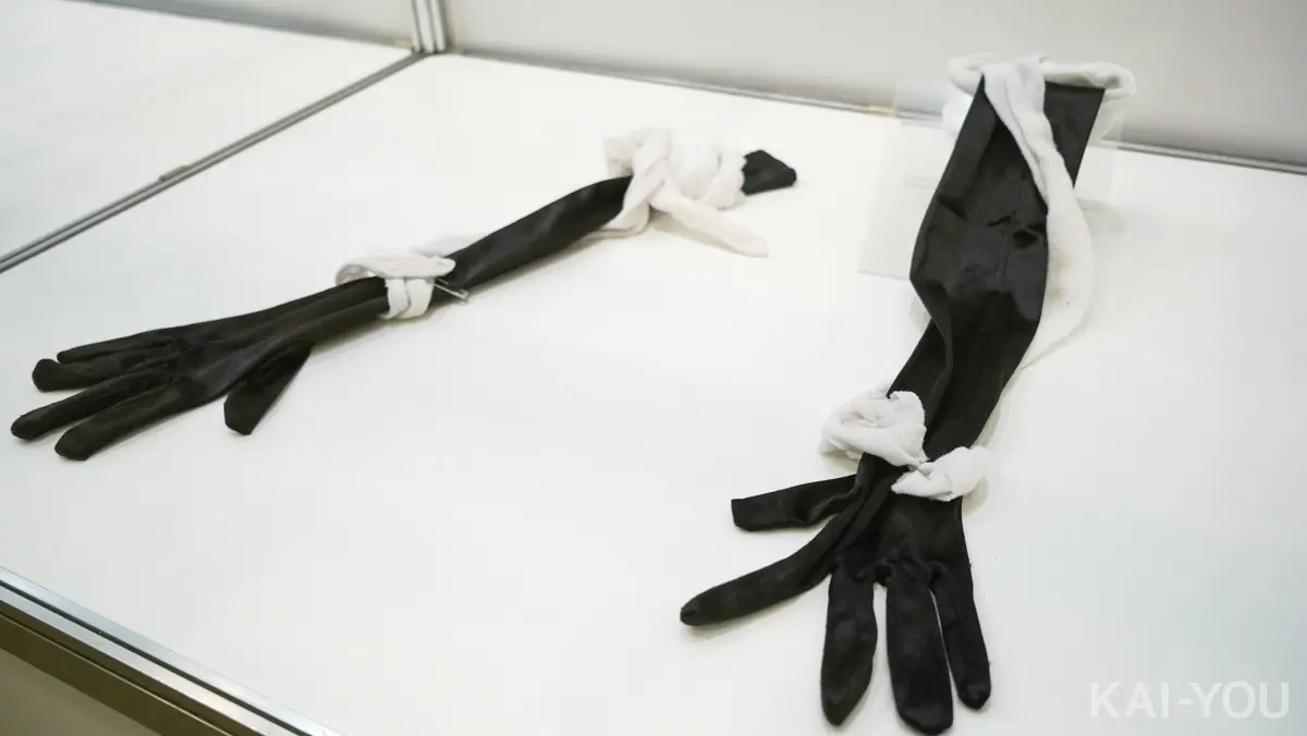 Vesalius Bandageさんの私物「Handcar Gloves ハンドカメラ配信用の手袋」