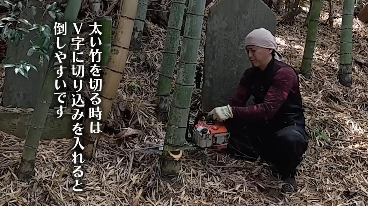 実際に竹を切っている様子