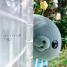 『教育番組 タマ 1st写真集 げんじつとうひ』表紙