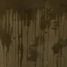 不安しか…………
