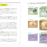 ベースカラー、サブカラー、アクセントカラーの3色に決め手の1色を加える配色レシピ