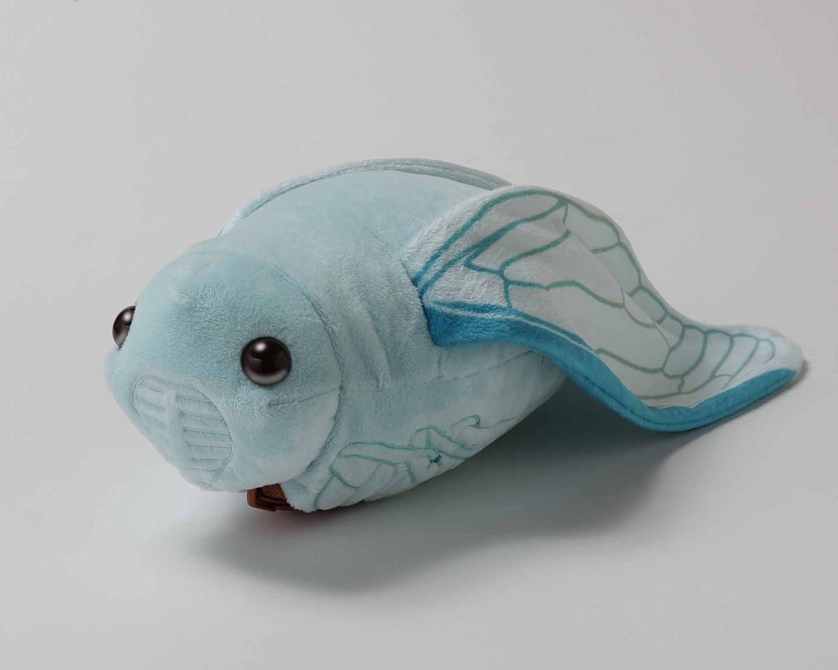 セミの抜け殻からセミ！ぬいぐるみ