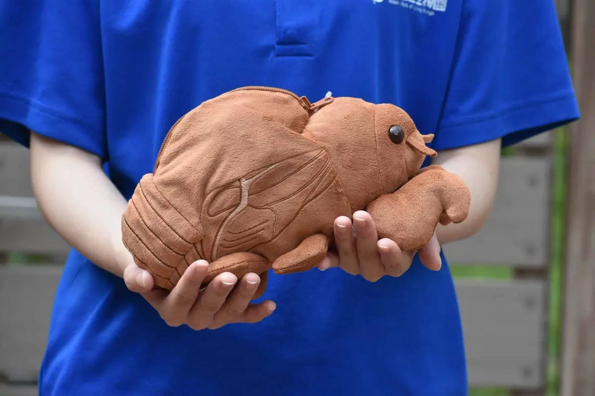 セミの抜け殻からセミ！ぬいぐるみ