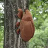 セミの抜け殻からセミ！ぬいぐるみ