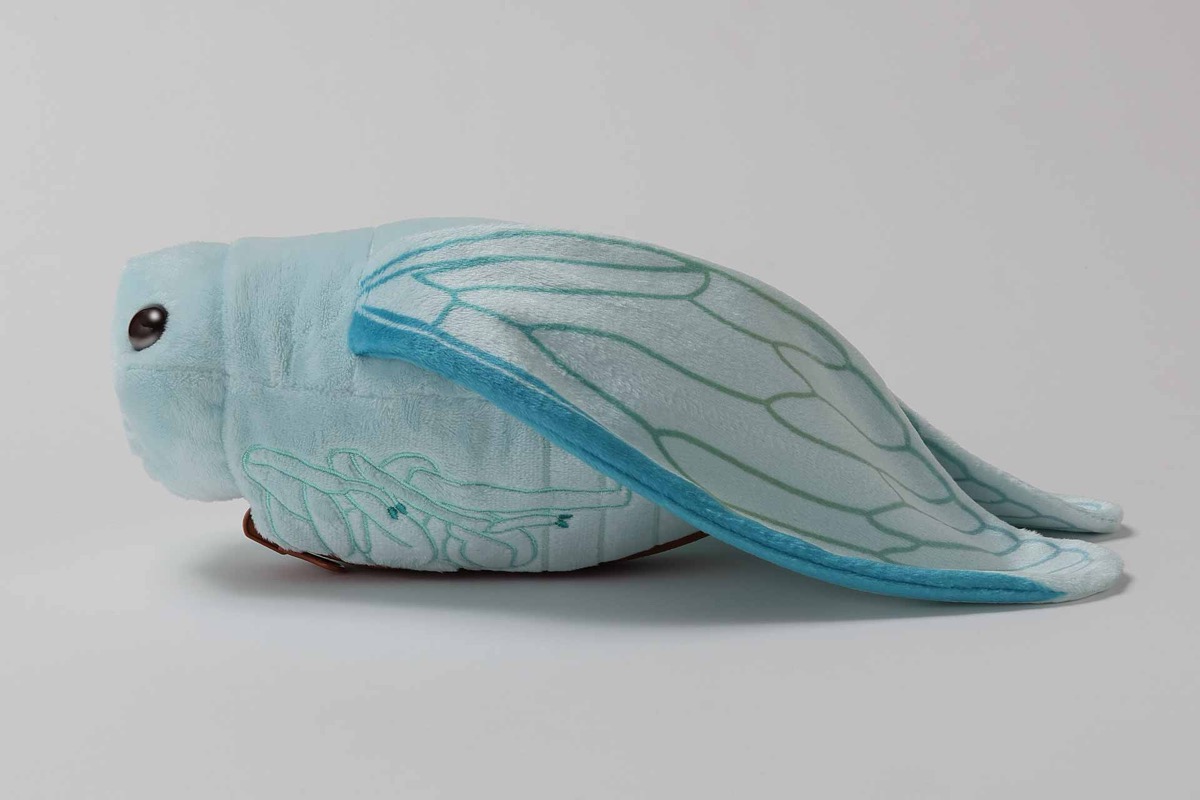 セミの抜け殻からセミ！ぬいぐるみ
