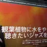 AI音楽生成サービス「Suno」