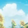 ひまわり畑……