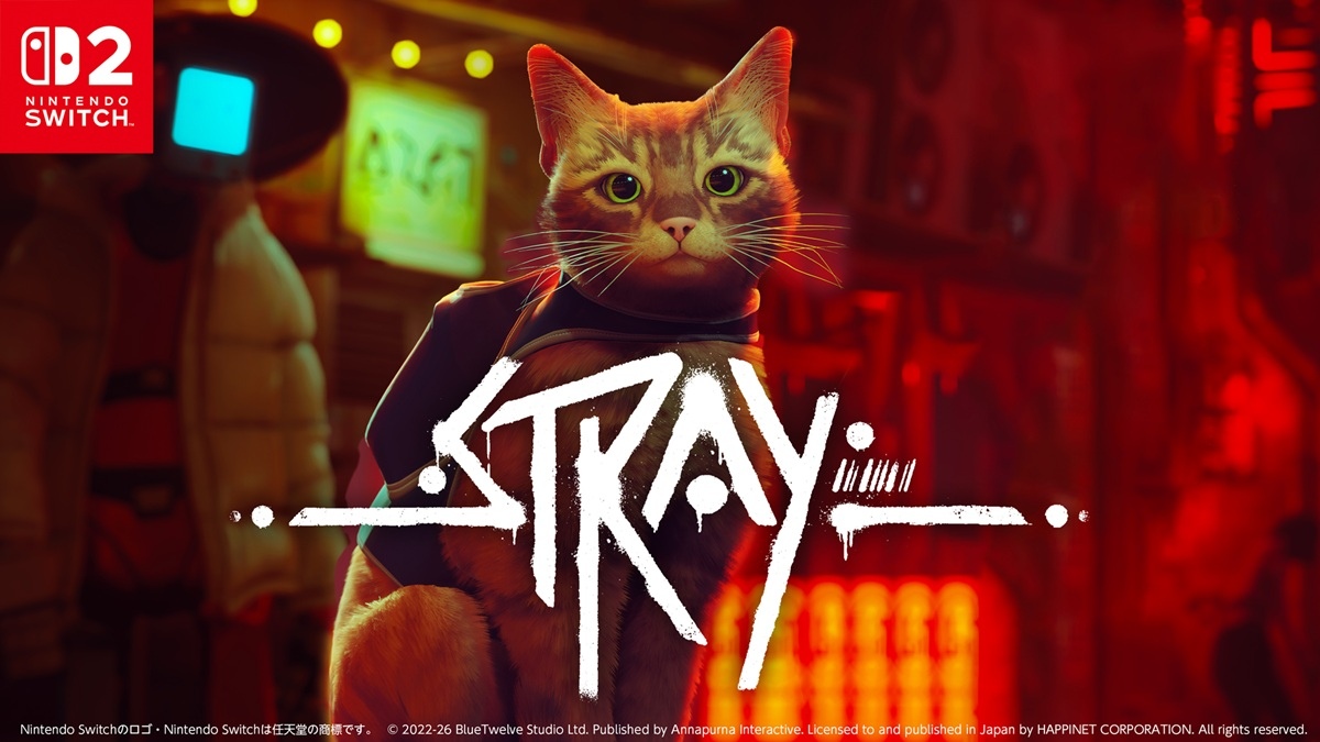 stray-main.jpg