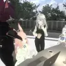 VRChatを中心にコミュニティ・サービスを展開する株式会社V／画像は株式会社Vより