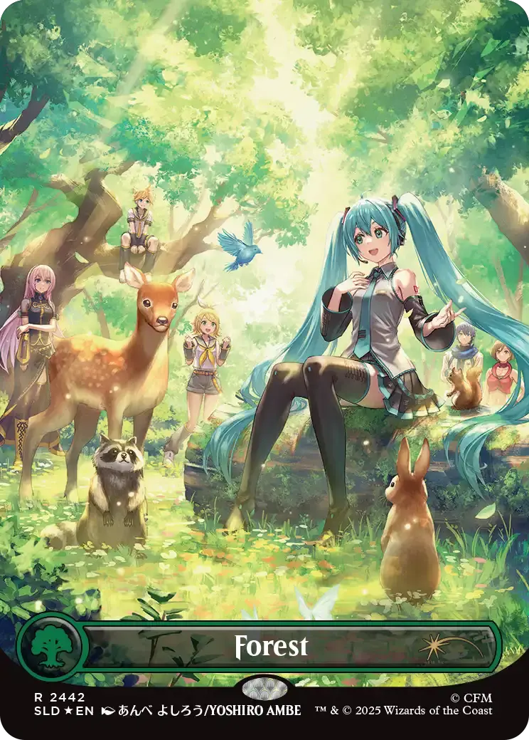 《Forest》