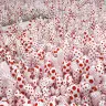 Yayoi Kusama, Infinity Mirror Room-Phalli’s Field (or Floor Show) (1965/2013), ©YAYOI KUSAMA, Courtesy of Ota Fine Arts