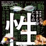 「生きものたちの性」展 キービジュアル