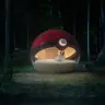 こんなところで寝れるなんていい夢見れそう
