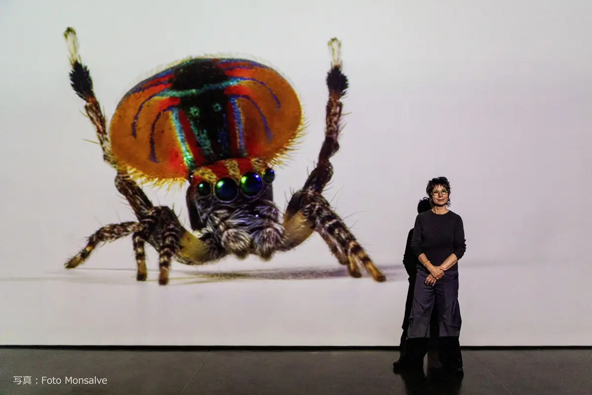 マリア・フェルナンダ・カルドーゾさんによる映像作品《芸術の起源について I-II》