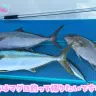 次回のマグロ漁にも期待がかかります