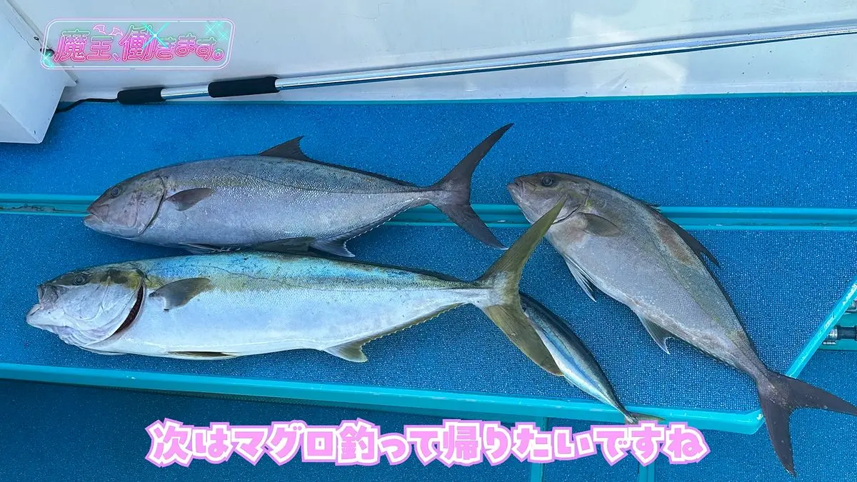 次回のマグロ漁にも期待がかかります