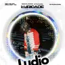 Ludioさん