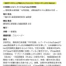 「公共組織によるバーチャルYouTuber活用戦略 ― 静岡県立美術館「中村宏展」×儒烏風亭らでん事例の分析 ―」研究概要
